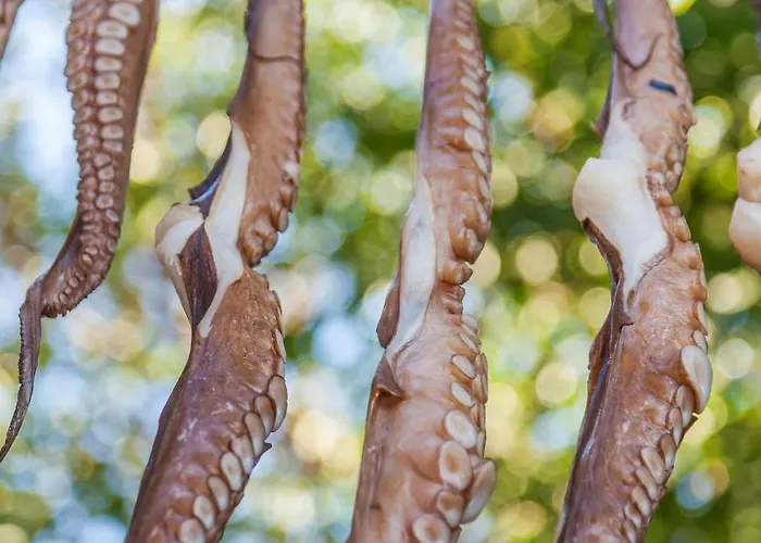 Villa Beautiful Paros 1 Bedroom Rock Private Jacuzzi & Garden View *