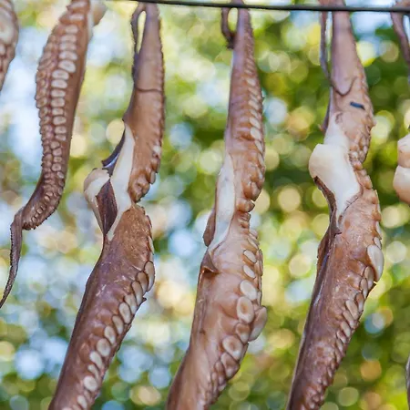 Villa Beautiful Paros 1 Bedroom Rock Private Jacuzzi & Garden View *