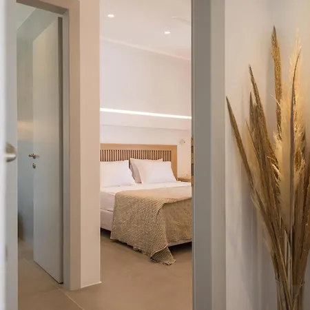 Villa Beautiful Paros 1 Bedroom Rock Private Jacuzzi & Garden View *