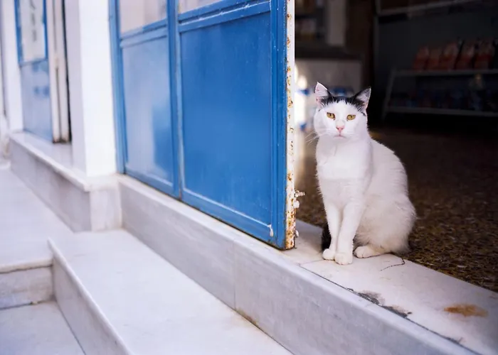 Villa Beautiful Paros 1 Bedroom Rock Private Jacuzzi & Garden View